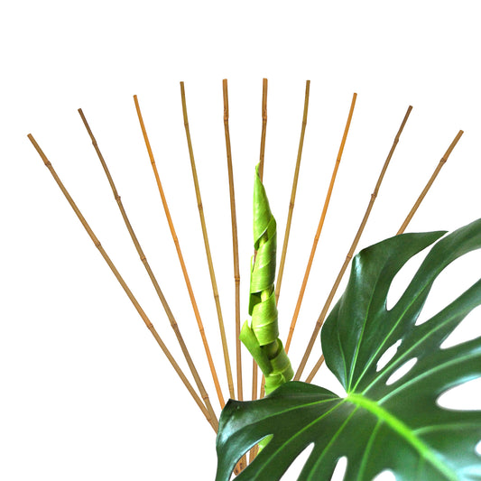 BigDean 10x Pflanzstab Bambusstab 105 cm x 8-10 mm Bambus Rankhilfe Pflanzstab Tonkinstab 100% Naturprodukt Pflanzstäbe Bambusstäbe Bambusstangen image 2