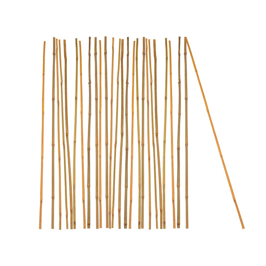BigDean 25x Pflanzstab Bambusstab 105 cm x 8-10 mm Bambus Rankhilfe Pflanzstab Tonkinstab 100% Naturprodukt Pflanzstäbe Bambusstäbe Bambusstangen image 1