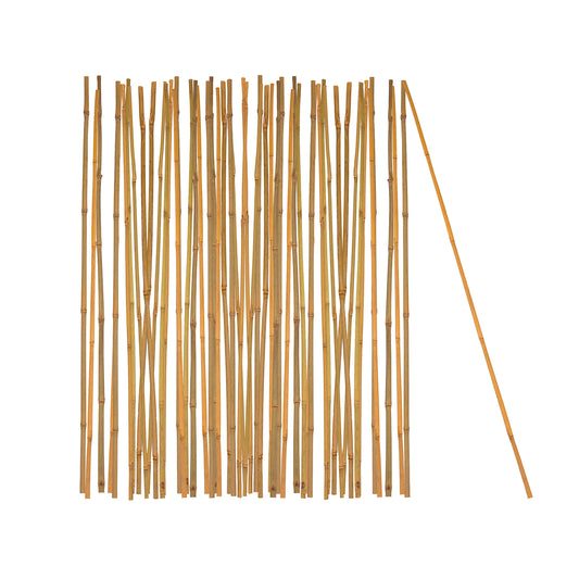 BigDean 50x Pflanzstab Bambusstab 105 cm x 8-10 mm Bambus Rankhilfe Pflanzstab Tonkinstab 100% Naturprodukt Pflanzstäbe Bambusstäbe Bambusstangen image 1