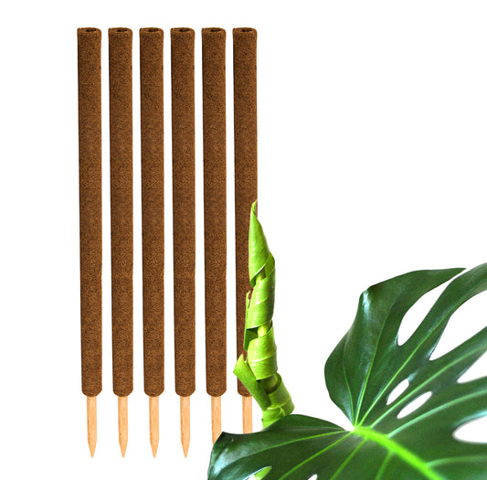 BigDean 6er Set Pflanzstäbe Kokos 110 cm - Monstera Rankhilfe Rankstäbe Stab Moosstäbe Pflanzenstäbe Kokosstäbe für Pflanzen - aus natürlicher Kokosfaser - verlängerbar image 1
