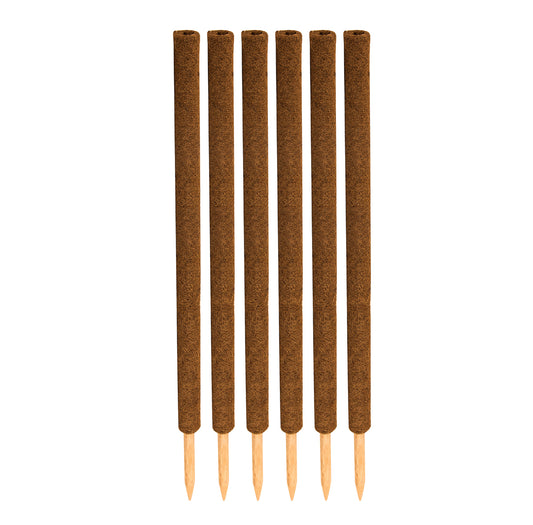 BigDean 6er Set Pflanzstäbe Kokos 110 cm - Monstera Rankhilfe Rankstäbe Stab Moosstäbe Pflanzenstäbe Kokosstäbe für Pflanzen - aus natürlicher Kokosfaser - verlängerbar image 2