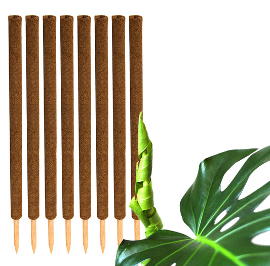 BigDean 8er Set Pflanzstäbe Kokos 110 cm - Monstera Rankhilfe Rankstäbe Stab Moosstäbe Pflanzenstäbe Kokosstäbe für Pflanzen - aus natürlicher Kokosfaser - verlängerbar image 1