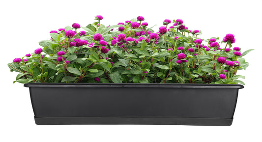BigDean Blumenkasten mit Untersetzer 60 cm lang anthrazit - aus PP-Kunststoff - Balkon Pflanzkasten schmal Balkonkasten image 1