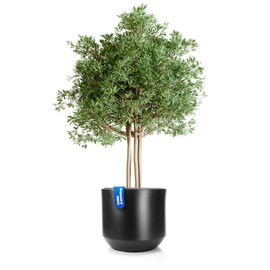 BigDean Blumentopf Style ø 58 cm anthrazit mit herausnehmbaren Innentopf - wetterfester Blumenkübel aus bruchsicherem Kunststoff - Pflanzkübel groß Außen & Innen geeignet image 1
