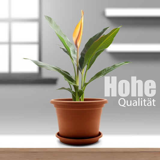 BigDean 8 Stück Blumentopf mit Untersetzer rund ø 35 cm Terrakotta – wetterfester Pflanzkübel Made in Europe image 2
