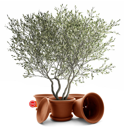 BigDean 4 Stück Blumentopf mit Untersetzer rund ø 40 cm Terracotta – wetterfester Pflanzkübel Made in Europe image 2