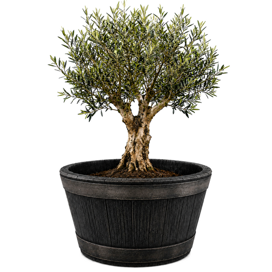 Weinfass XL Eichenfass Kunststoff Bottich Blumenkasten Trog Zuber Gartenteich Mini Teich Fass Nachbildung Durchmesser 63 cm Höhe 38 cm ca. 90 Liter image 1