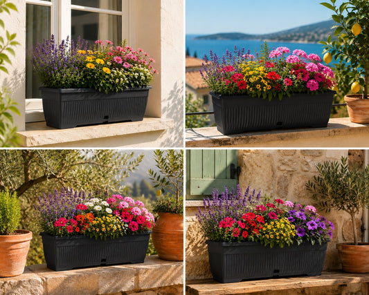 BigDean Blumenkasten 80cm mit abnehmbarem Untersetzer - aus bruchsicherem Kunststoff - Balkonkasten Pflanzkasten mit Wasserspeicher für Innen- & Außenbereich geeignet - Made in Europe image 2