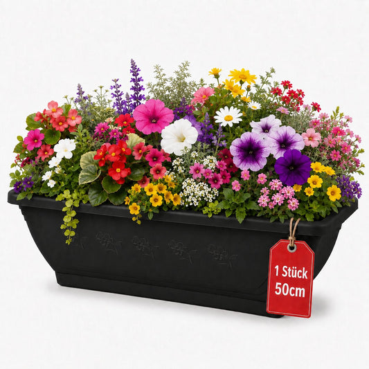 BigDean 1x Blumenkasten mit abnehmbarem Untersetzer - Anthrazit 50 cm lang aus bruchsicherem Kunststoff - Pflanzkasten mit Wasserspeicher für Innen- & Außenbereich geeignet - Made in Europe image 1
