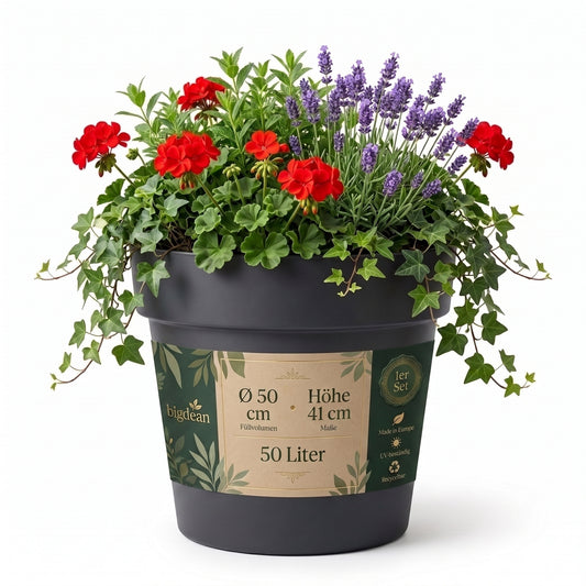 BigDean Blumentopf ca. ø 50 cm Classic anthrazit Pflanzkübel groß außen | -mit Wasserspeicher - wetterfester Kunststoff - Pflanzkübel groß Innen - image 2
