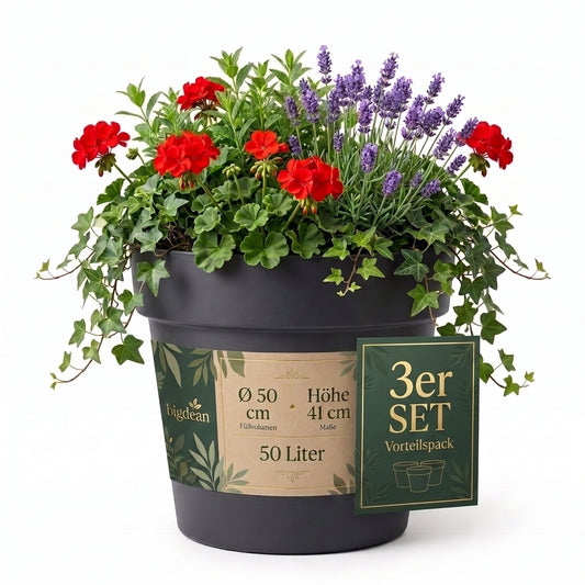 BigDean 3 Stück Blumentopf ca. ø 50 cm Classic anthrazit Pflanzkübel groß außen | -mit Wasserspeicher - wetterfester Kunststoff - Pflanzkübel groß Innen - image 2