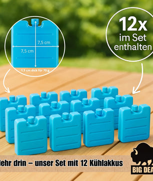 Kühlbox inkl. 12 Kühlakkus 24 Liter Kühlbox mit Akku für bis zu 11 h Kühlung