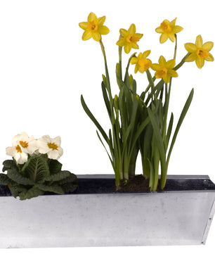 Europalette Blumenkasten verzinkt 3