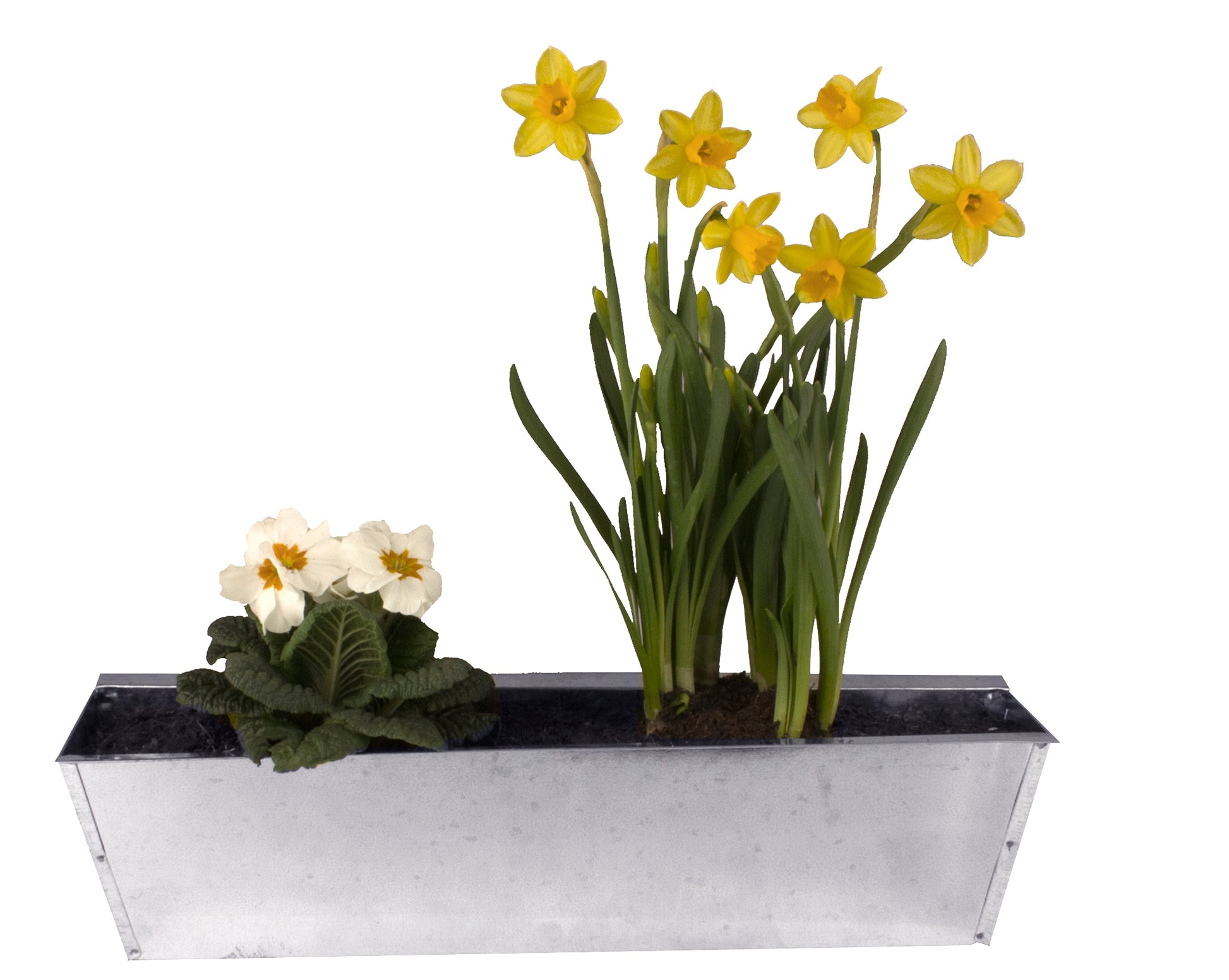 Europalette Blumenkasten verzinkt 3