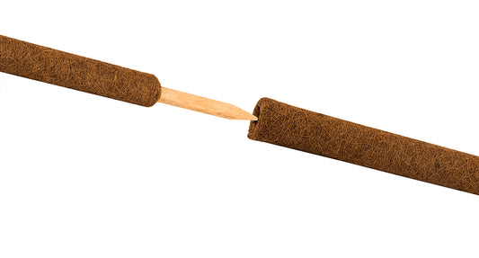 BigDean Pflanzstab Kokos 110 cm Rankstab Rankhilfe Blumenstab Kokosstab zur Dekoration aus natürlicher Kokosfaser verlängerbar image 2
