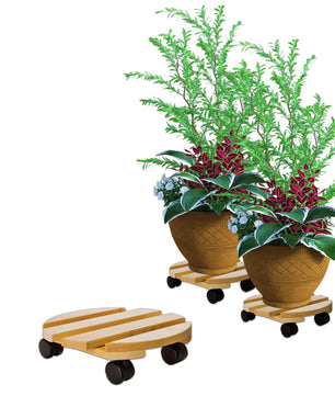 Pflanzenroller rund Buchenholz massives Holz 30 cm bis 120 Kg Rolluntersetzer