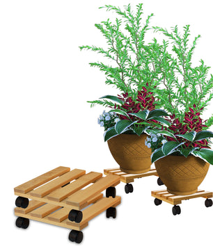 2x Pflanzenroller eckig Buchenholz massives Holz 30 x 30 cm bis 120 Kg Rolluntersetzer