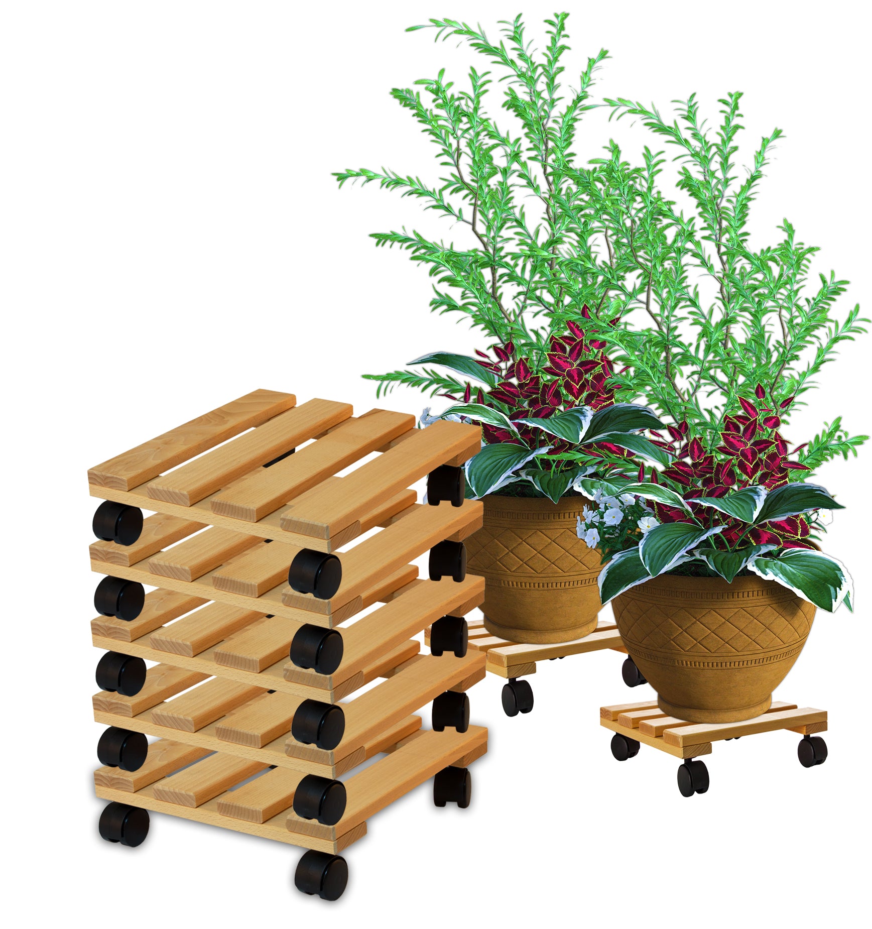 ecomposer-menge-5x,ecomposer-form-rechteckig