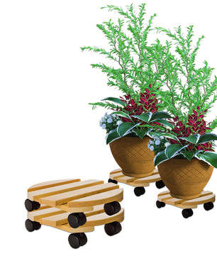 2x Pflanzenroller rund Buchenholz massives Holz 30 cm bis 120 Kg Rolluntersetzer