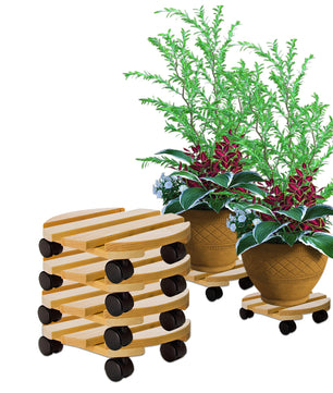 4x Pflanzenroller rund Buchenholz massives Holz 30 cm bis 120 Kg Rolluntersetzer