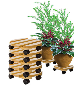 5x Pflanzenroller rund Buchenholz massives Holz 30 cm bis 120 Kg Rolluntersetzer