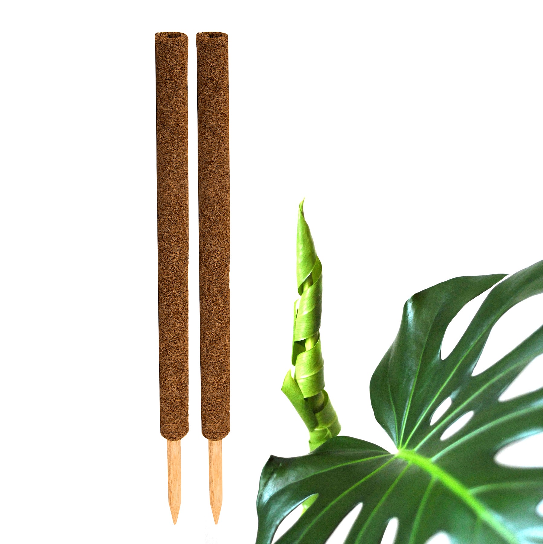 ecomposer-menge-2x,ecomposer-größe-80cm