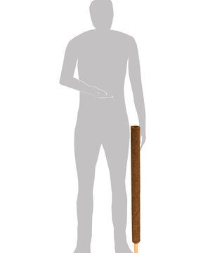 ecomposer-menge-2x,ecomposer-größe-80cm
