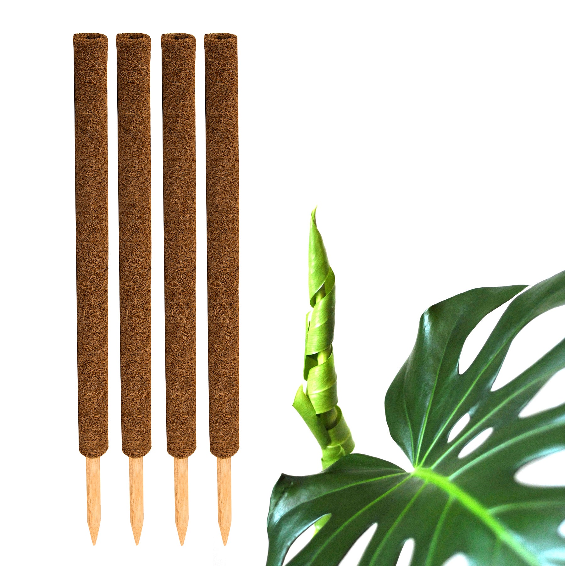 ecomposer-menge-4x,ecomposer-größe-80cm