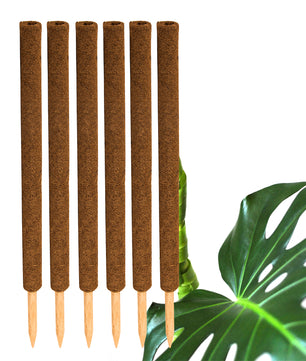 ecomposer-menge-6x,ecomposer-größe-80cm