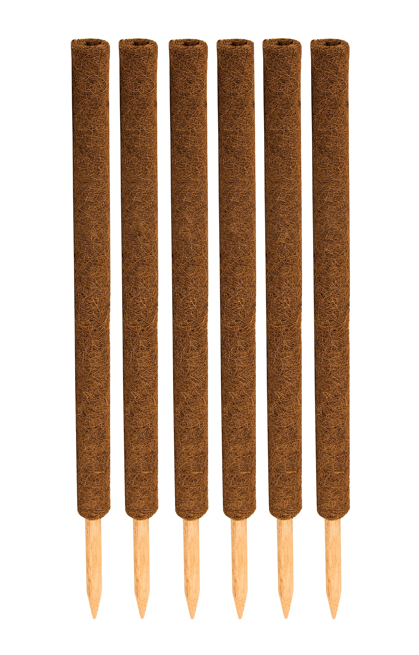 ecomposer-menge-6x,ecomposer-größe-80cm