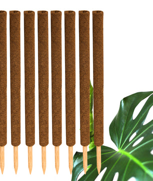 ecomposer-menge-8x,ecomposer-größe-80cm