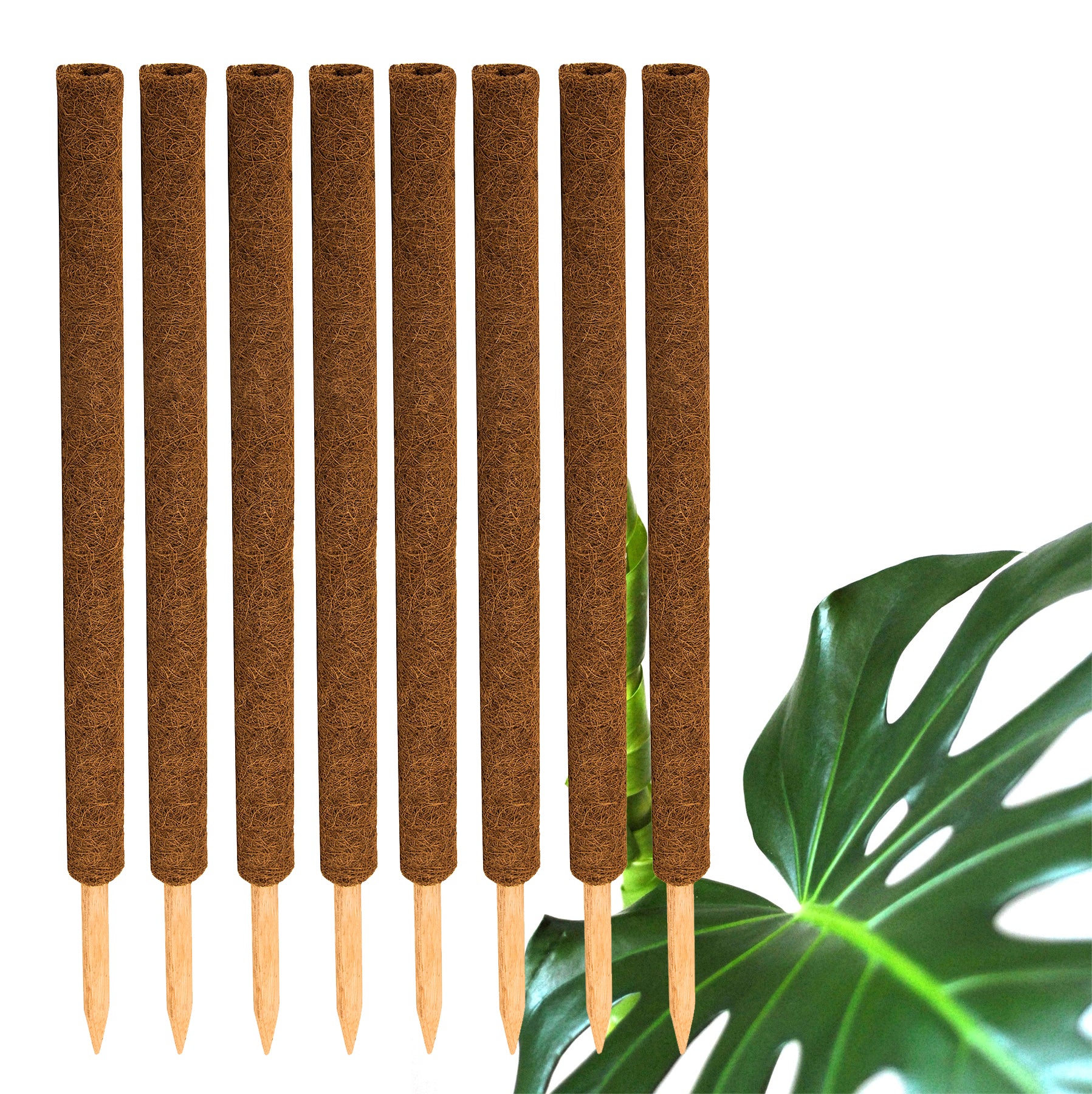 ecomposer-menge-8x,ecomposer-größe-80cm