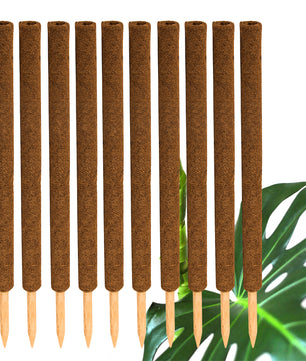 ecomposer-menge-10x,ecomposer-größe-80cm