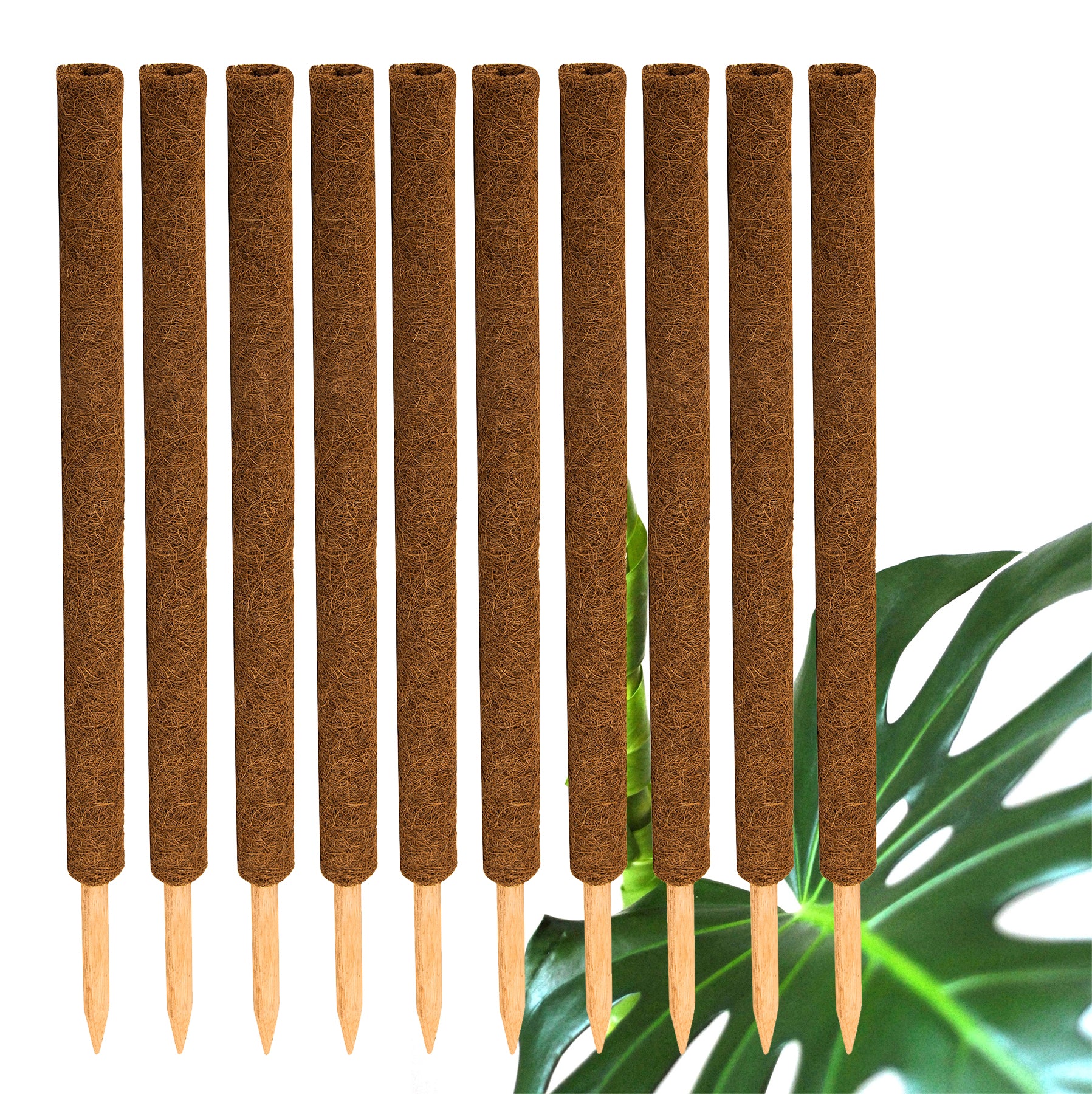 ecomposer-menge-10x,ecomposer-größe-80cm