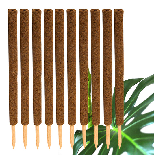 BigDean 10er Set Pflanzstäbe Kokos 80 cm - Monstera Rankhilfe Rankstäbe Stab Moosstäbe Pflanzenstäbe Kokosstäbe für Pflanzen - aus natürlicher Kokosfaser - verlängerbar