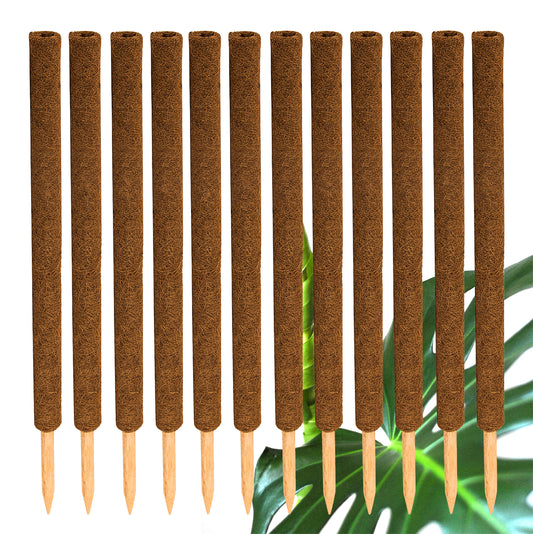 BigDean 12er Set Pflanzstäbe Kokos 80 cm - Monstera Rankhilfe Rankstäbe Stab Moosstäbe Pflanzenstäbe Kokosstäbe für Pflanzen - aus natürlicher Kokosfaser - verlängerbar