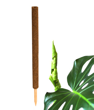 ecomposer-menge-1x,ecomposer-größe-80cm
