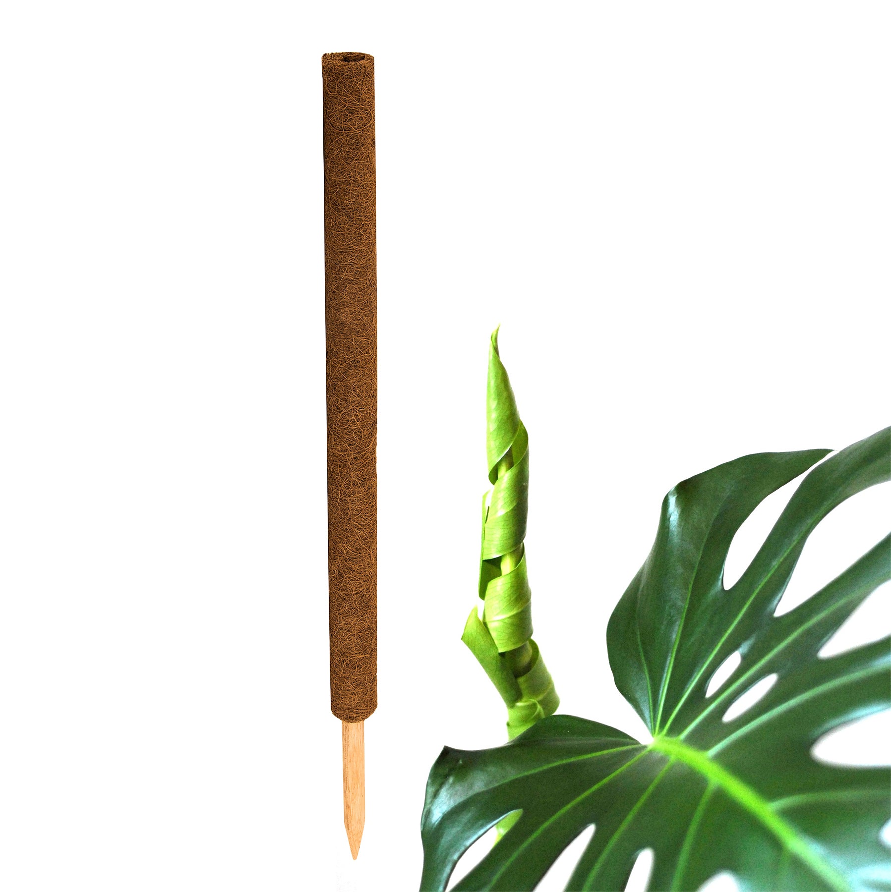ecomposer-menge-1x,ecomposer-größe-80cm