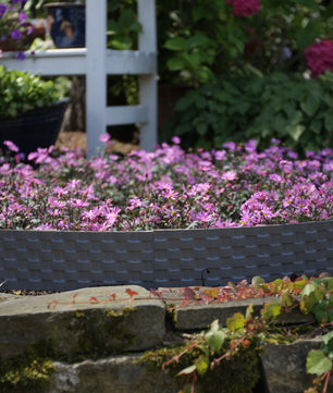 ecomposer-größe-6.4meter