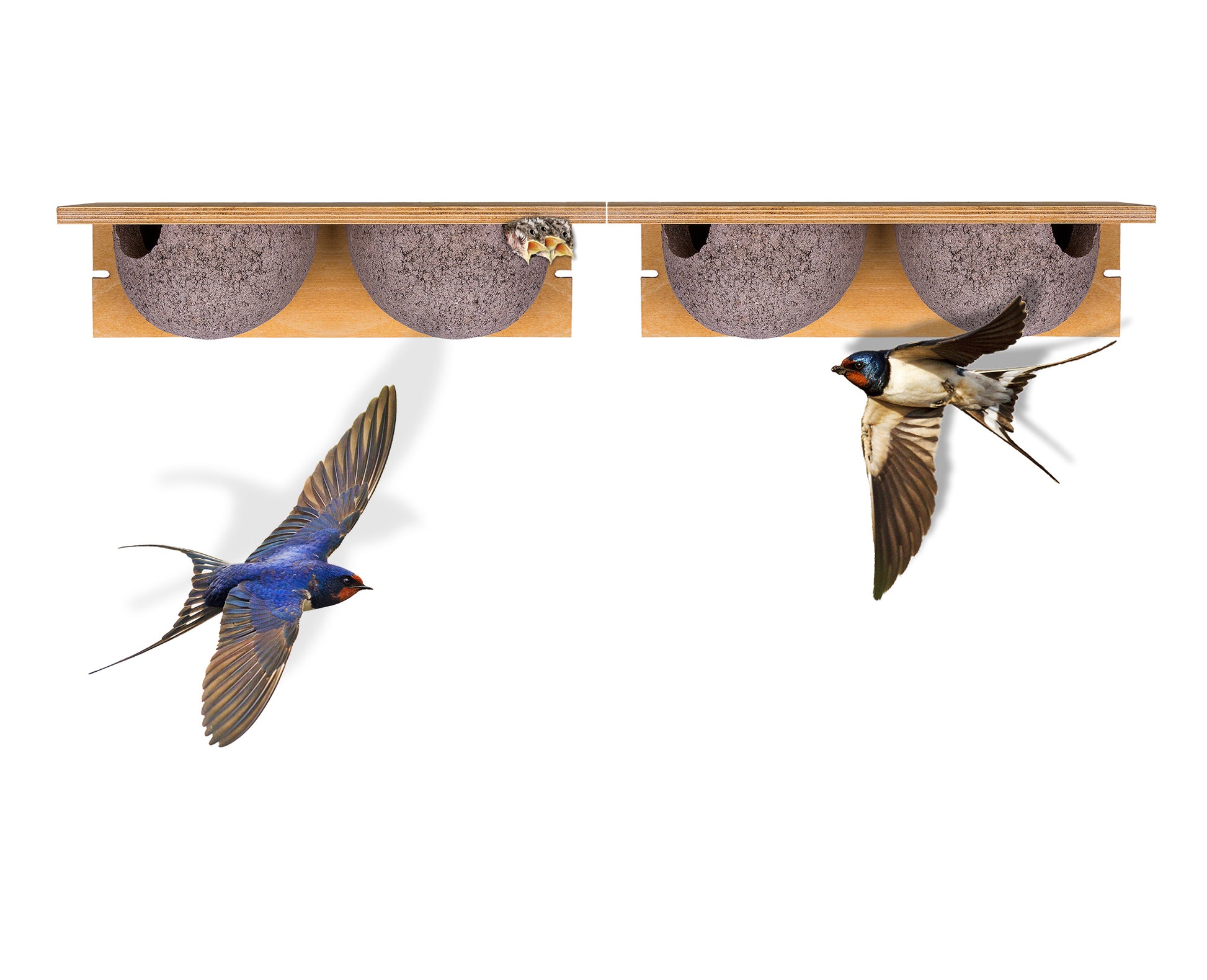 2x Schwalbennistkasten Doppelnest Schwalbennest Mehlschwalbennest Nistkasten Nisthilfe Schwalben Hol