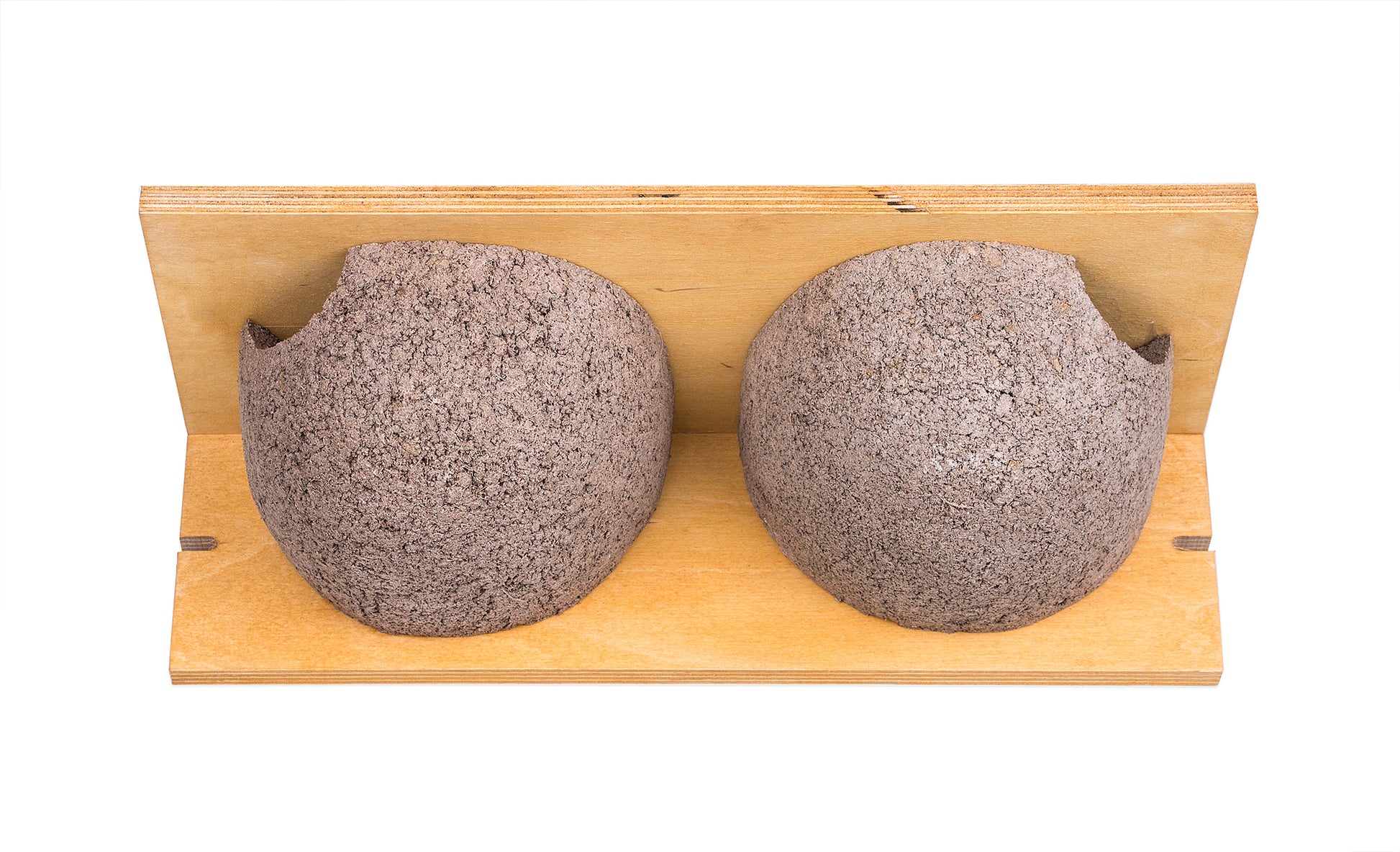 2x Schwalbennistkasten Doppelnest Schwalbennest Mehlschwalbennest Nistkasten Nisthilfe Schwalben Hol 4