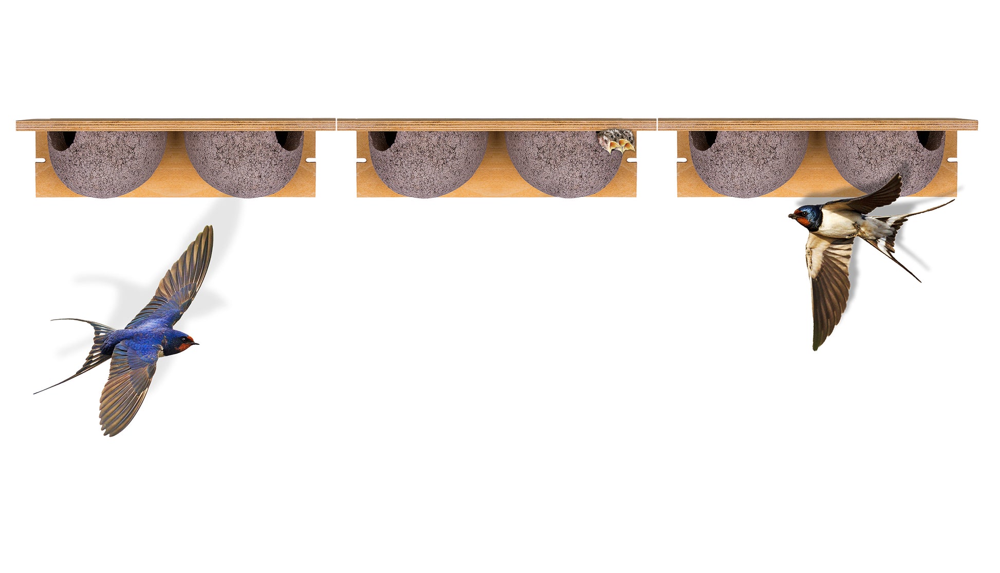 3x Schwalbennistkasten Doppelnest Schwalbennest Mehlschwalbennest Nistkasten Nisthilfe Schwalben Hol
