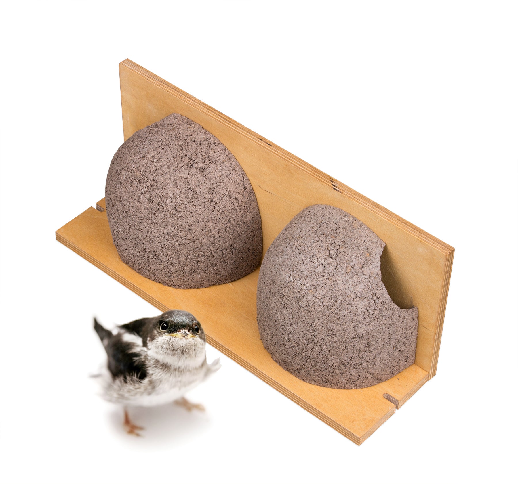 3x Schwalbennistkasten Doppelnest Schwalbennest Mehlschwalbennest Nistkasten Nisthilfe Schwalben Hol 2