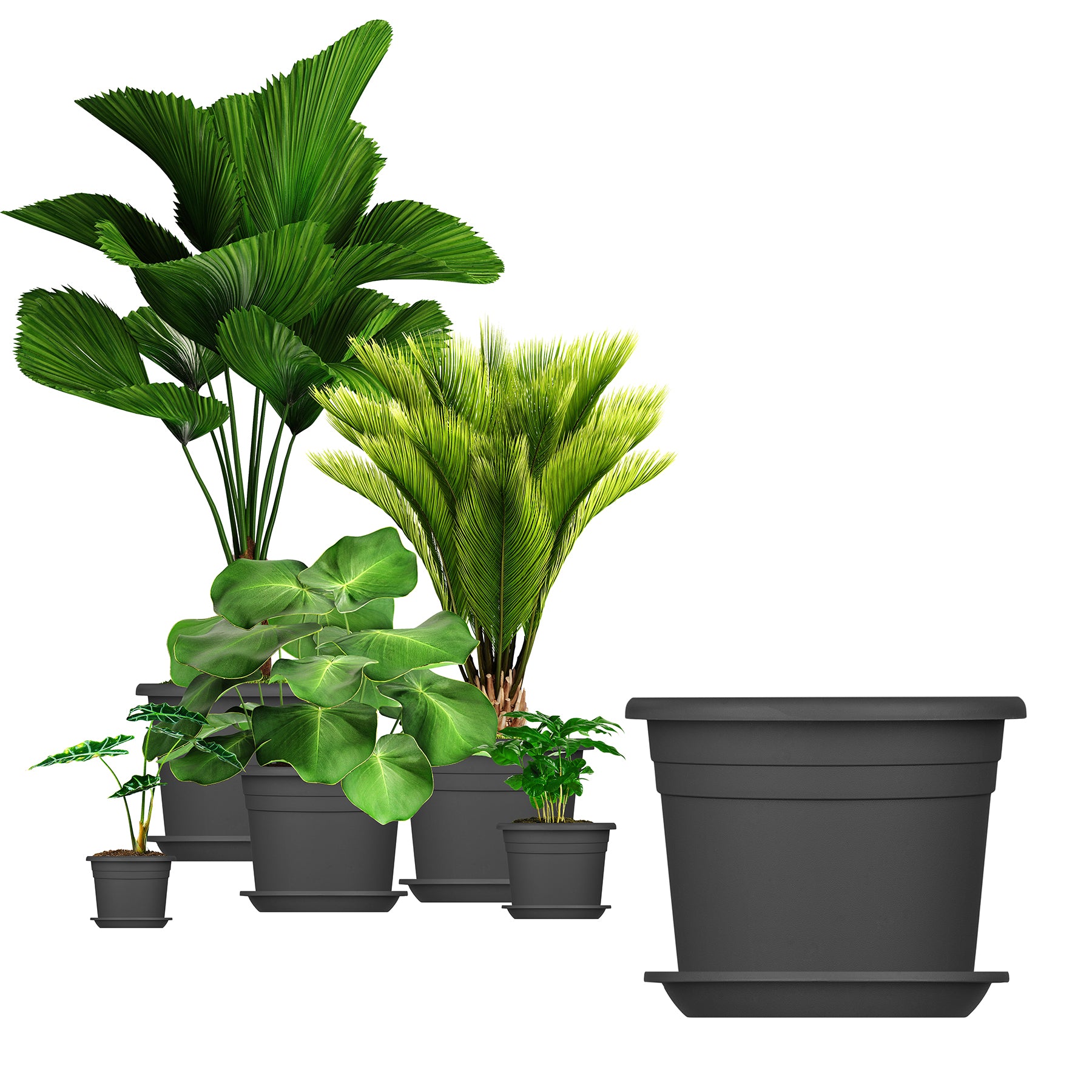 5x Blumentopf Ø 30 cm Farbe Anthrazit & Untersetzer Kunststoff Pflanztopf Containertopf Übertopf