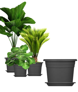 3x Blumentopf Ø 25 cm Farbe Anthrazit & Untersetzer Kunststoff Pflanztopf Containertopf Übertopf