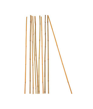10x Pflanzstab Bambusstab 105 cm x 8 - 10 mm Bambus Rankhilfe Pflanzstab Tonkinstab 100% Naturproduk
