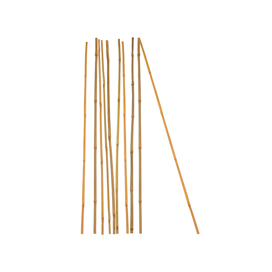 BigDean 10x Pflanzstab Bambusstab 105 cm x 8-10 mm Bambus Rankhilfe Pflanzstab Tonkinstab 100% Naturprodukt Pflanzstäbe Bambusstäbe Bambusstangen image 1