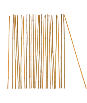 25x Pflanzstab Bambusstab 105 cm x 8 - 10 mm Bambus Rankhilfe Pflanzstab Tonkinstab 100% Naturproduk