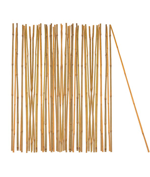 50x Pflanzstab Bambusstab 105 cm x 8 - 10 mm Bambus Rankhilfe Pflanzstab Tonkinstab 100% Naturproduk