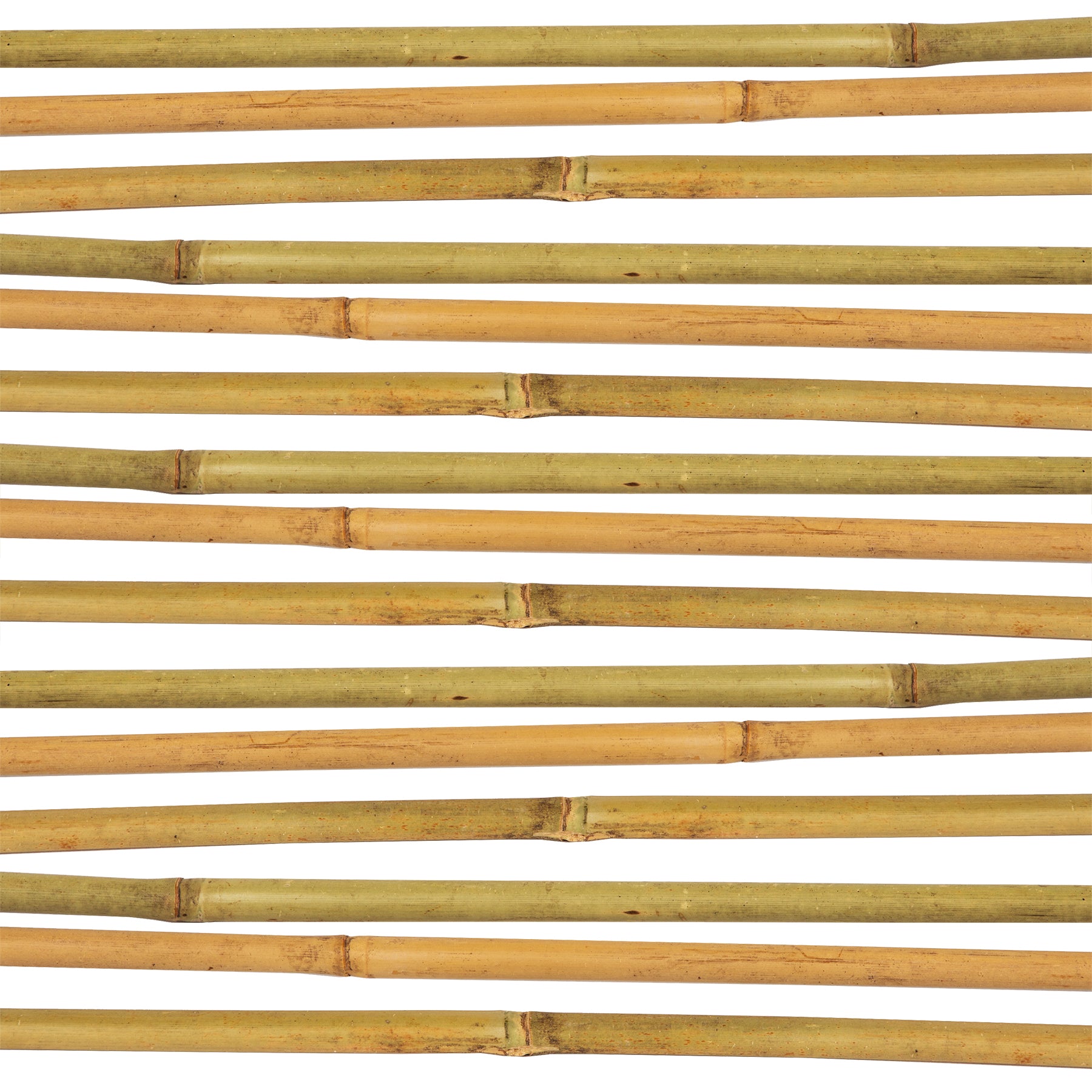 50x Pflanzstab Bambusstab 105 cm x 8 - 10 mm Bambus Rankhilfe Pflanzstab Tonkinstab 100% Naturproduk 4